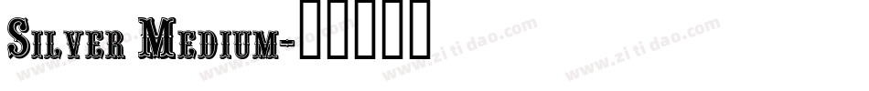 Silver Medium字体转换
